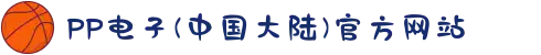 PP电子(中国大陆)官方网站